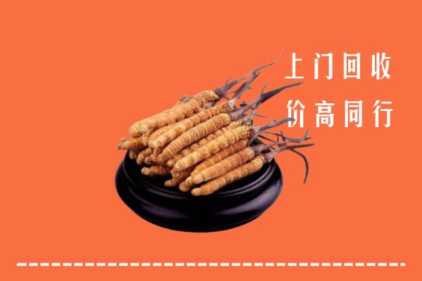 高价求购：驻马店市遂平回收散虫草