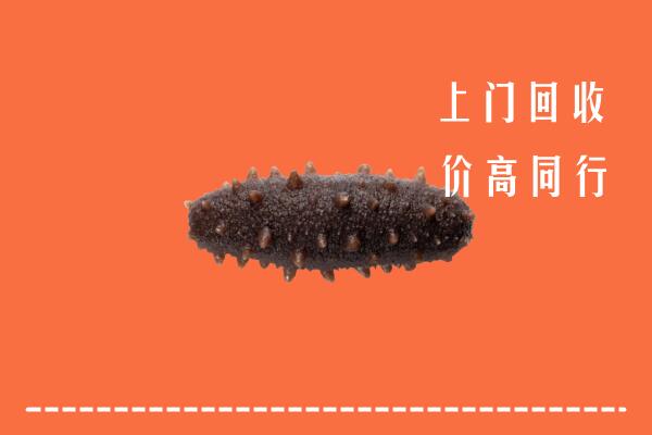 高价求购：驻马店市遂平回收海参